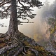 Номинация - Моя Россия. Влад Соколовский. Корни
